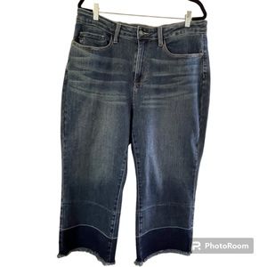 Judy Blue Frayed Hem Wide Leg Crop Jeans ~ SIZE 18W